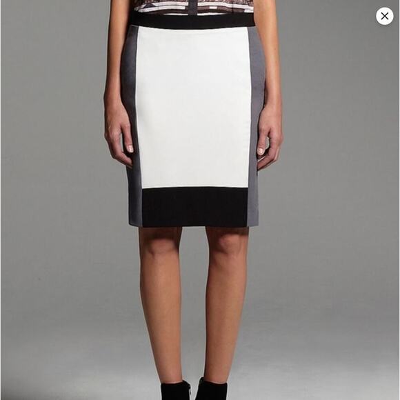 Narciso Rodriguez for Design Nation Back Zip Colorblock Lined Skirt Size 10 - Picture 1 of 9